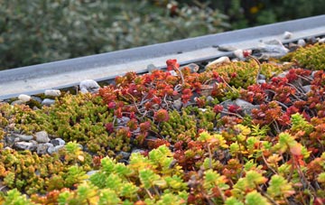 the cost of Bassingthorpe green roof installation