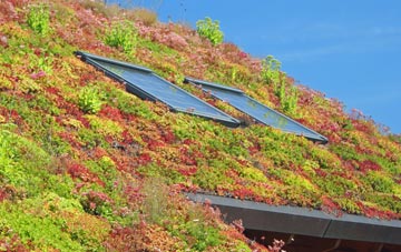 Bassingthorpe living roof systems