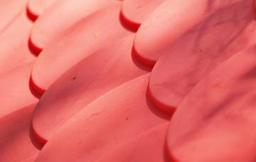 Bassingthorpe plastic roof costs