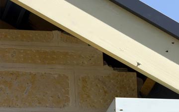 soffit repair Bassingthorpe